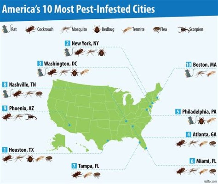 10 Most Pest-Infested U.S. Cities, New Data Shows