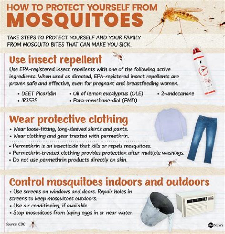 5 Tips for Keeping Your Outdoor Party Mosquito-Free