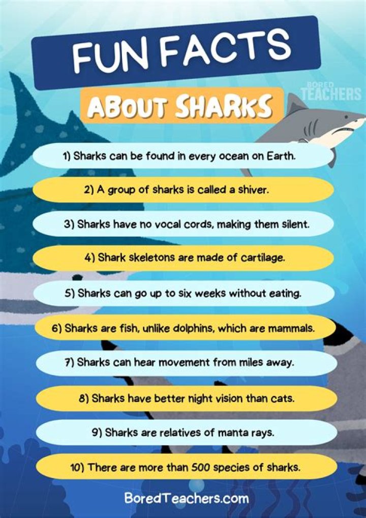 55 Amazing Facts About Sharks