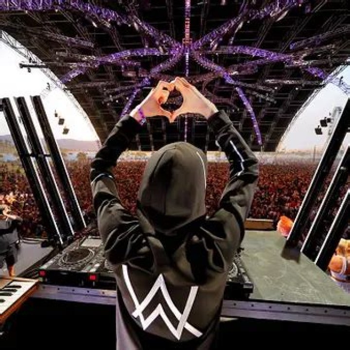 Alan Walker Net Worth | Celebrity Net Worth