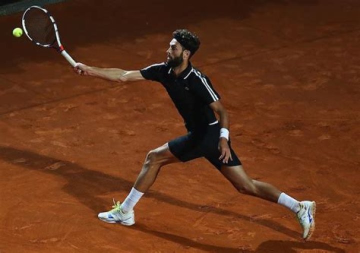Benoit Paire Height, Weight, Age, Girlfriend, Family, Facts, Biography