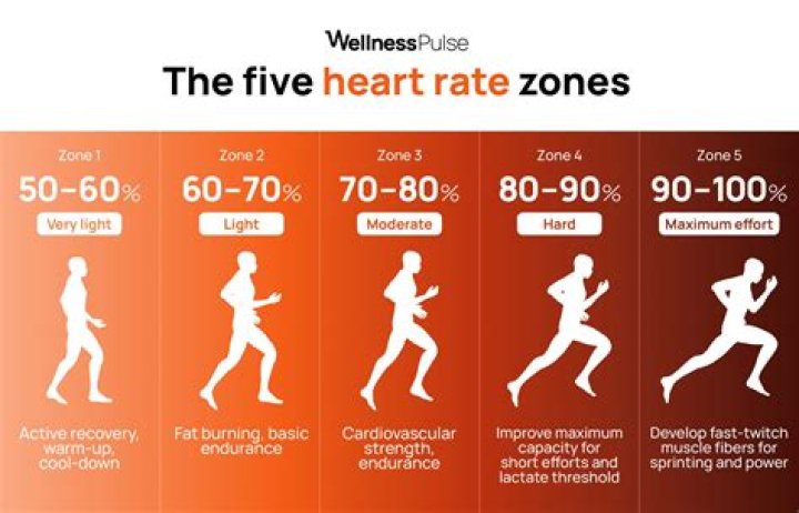 Cardio Game Plan to Maximize Fat Loss: The Three Approaches to Cardio to Look and Feel your Best