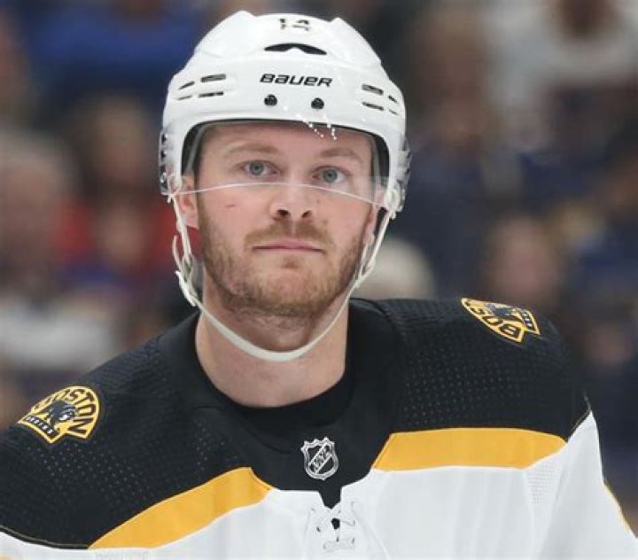 Chris Wagner Biography- NHL player, Salary, Earnings, Net worth, Married, Relationship, Affair, Age, Height, Family, Girlfriend, Contract