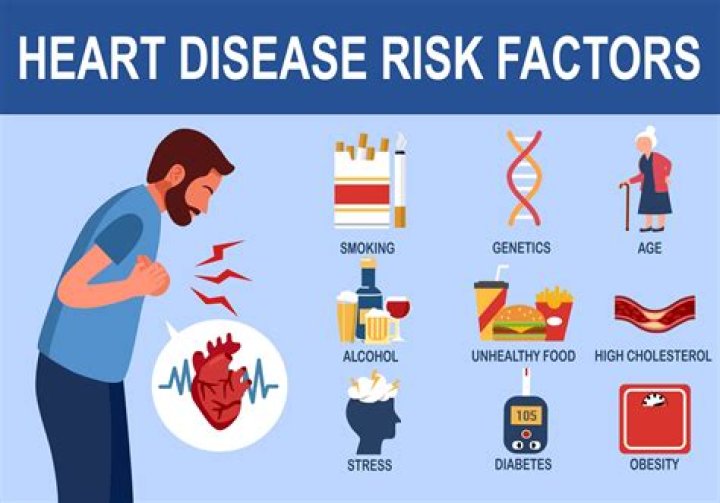 Diet Soda Fans, Take Caution: New Study Finds Serious Heart Condition Risk