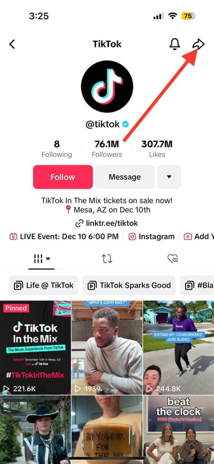 Does DanTDM Have TikTok?