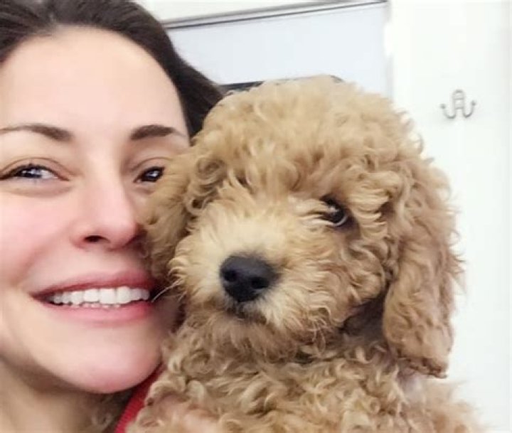Emmanuelle Vaugier Height, Weight, Age, Boyfriend, Family, Biography
