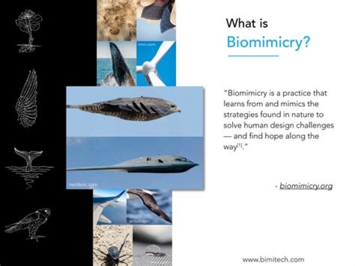 FLIGHT - Bio, Age, Wiki, Facts and Family