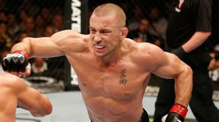 Georges St Pierre Net Worth