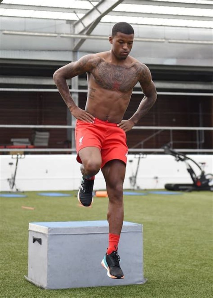 Georginio Wijnaldum Height, Weight, Age, Body Statistics