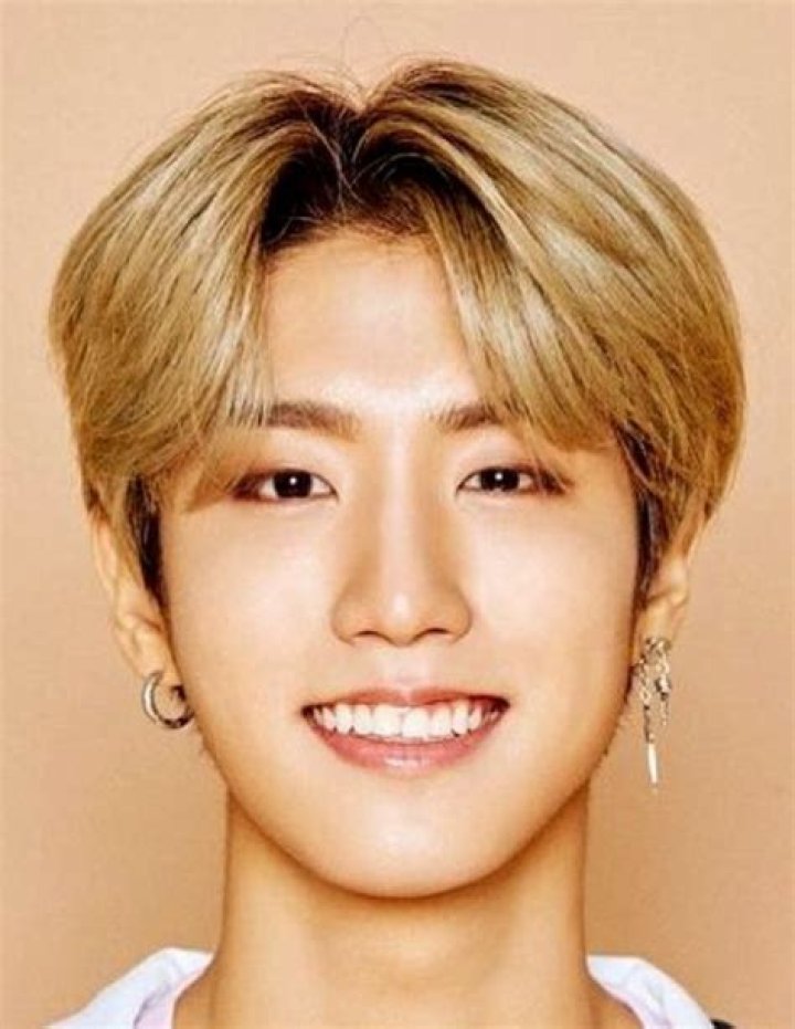 Han Jisung - Bio, Age, Wiki, Facts and Family