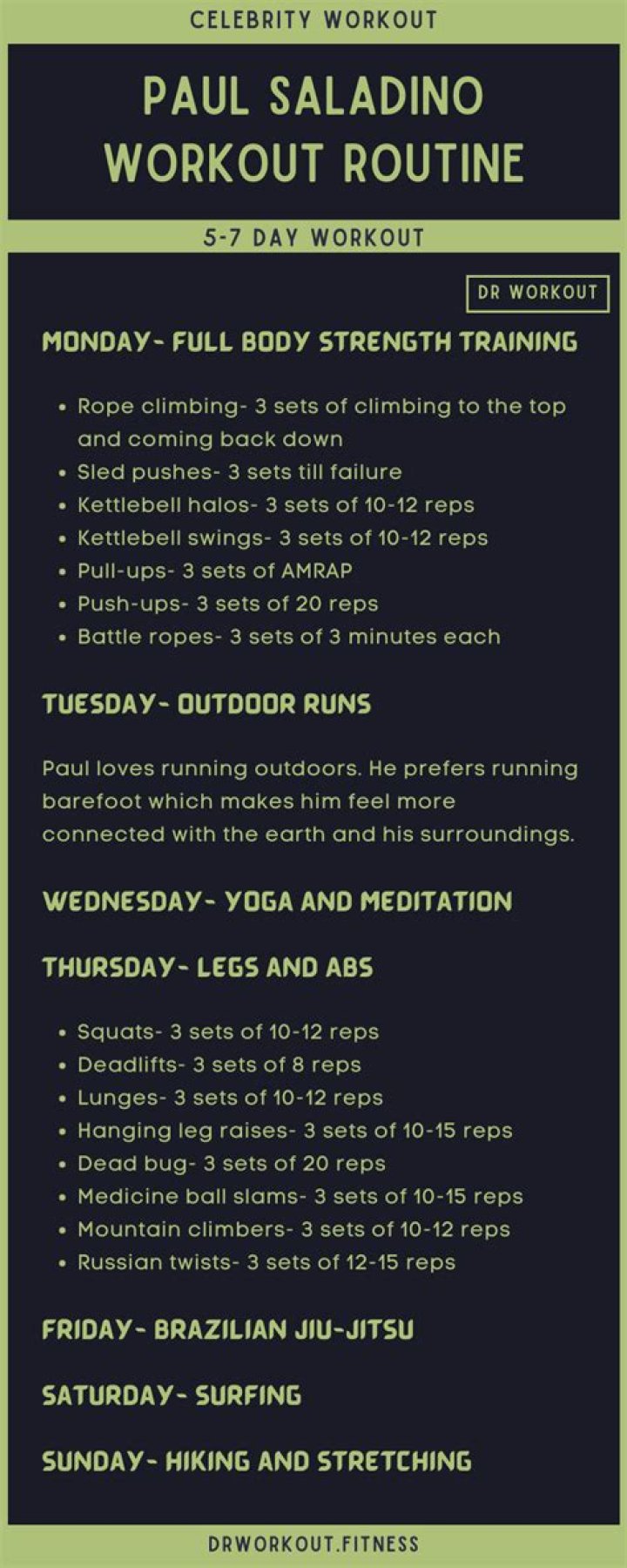 Hayden Panettiere Workout Routine and Diet Plan