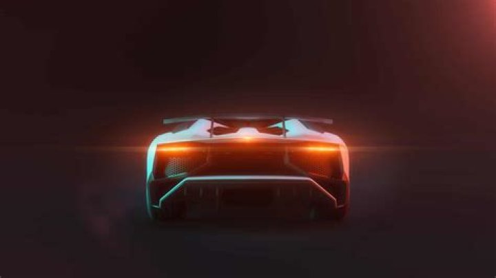 How Many Cars Does The Ace Family Have?