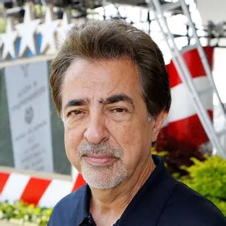 Joe Mantegna Net Worth | Celebrity Net Worth
