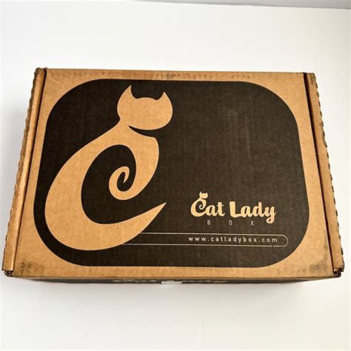Legacy Son Returns, Crazy Cat Lady Back