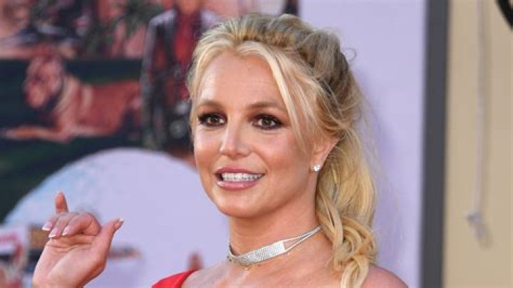 Meghan McCain Is Sick That Britney Spears Is Being ‘Treated Like A Slave’: ‘The FBI Needs To Extract Her’