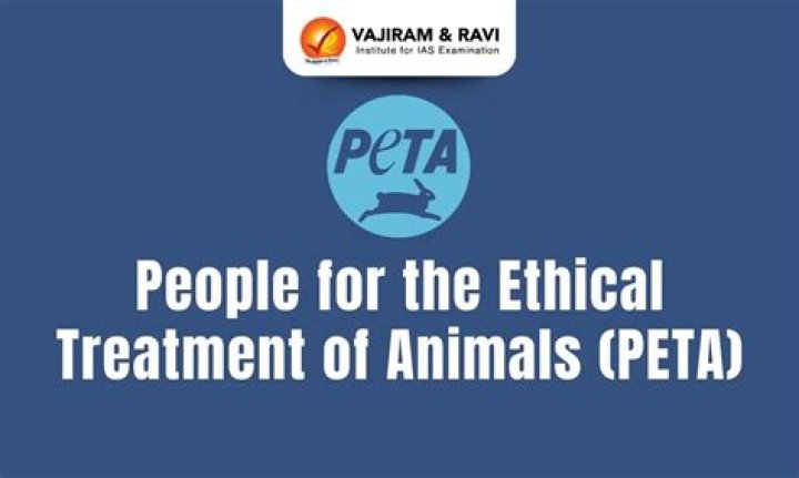 PETA (People for the Ethical Treatment of Animals) net worth, income and estimated earnings of Youtuber channel