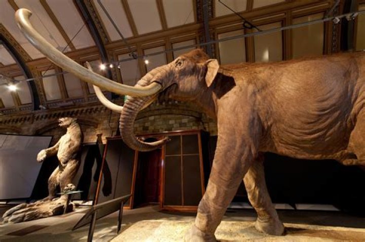 Peter Thiel Invested $100,000 To Bring Woolly Mammoths Back To Life