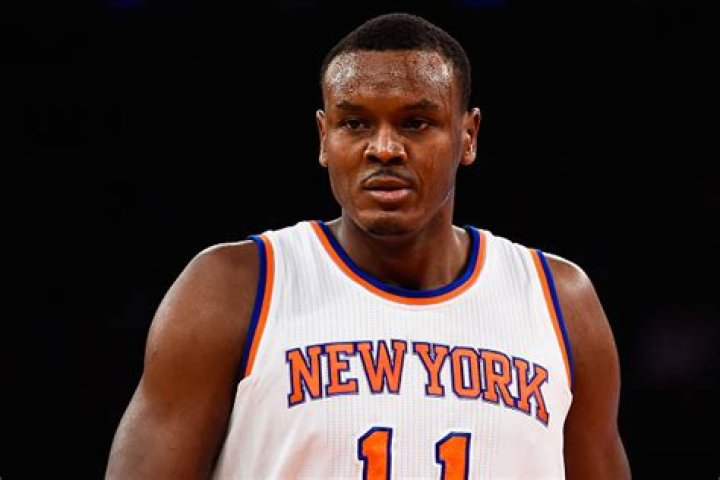 Samuel Dalembert Net Worth | Celebrity Net Worth