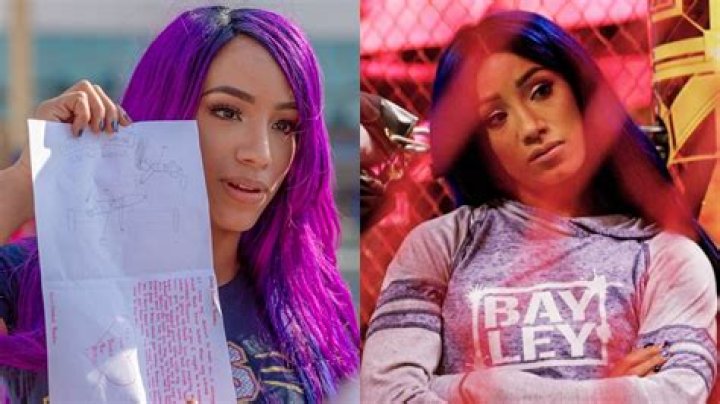 Sasha Banks' Husband, Workings a costume designer for WWE, How much is his net worth?