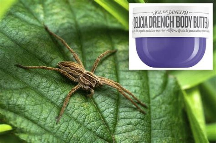 Shoppers Claim Sephora's Body Lotion Is Attracting Wolf Spiders — Best Life