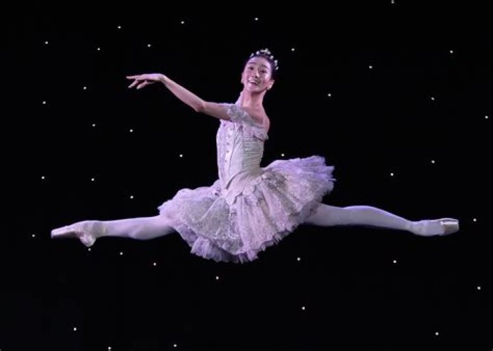 The American Ballet Theatre’s Holiday Benefit Returns for a Star-Studded Night – Celeb Secrets
