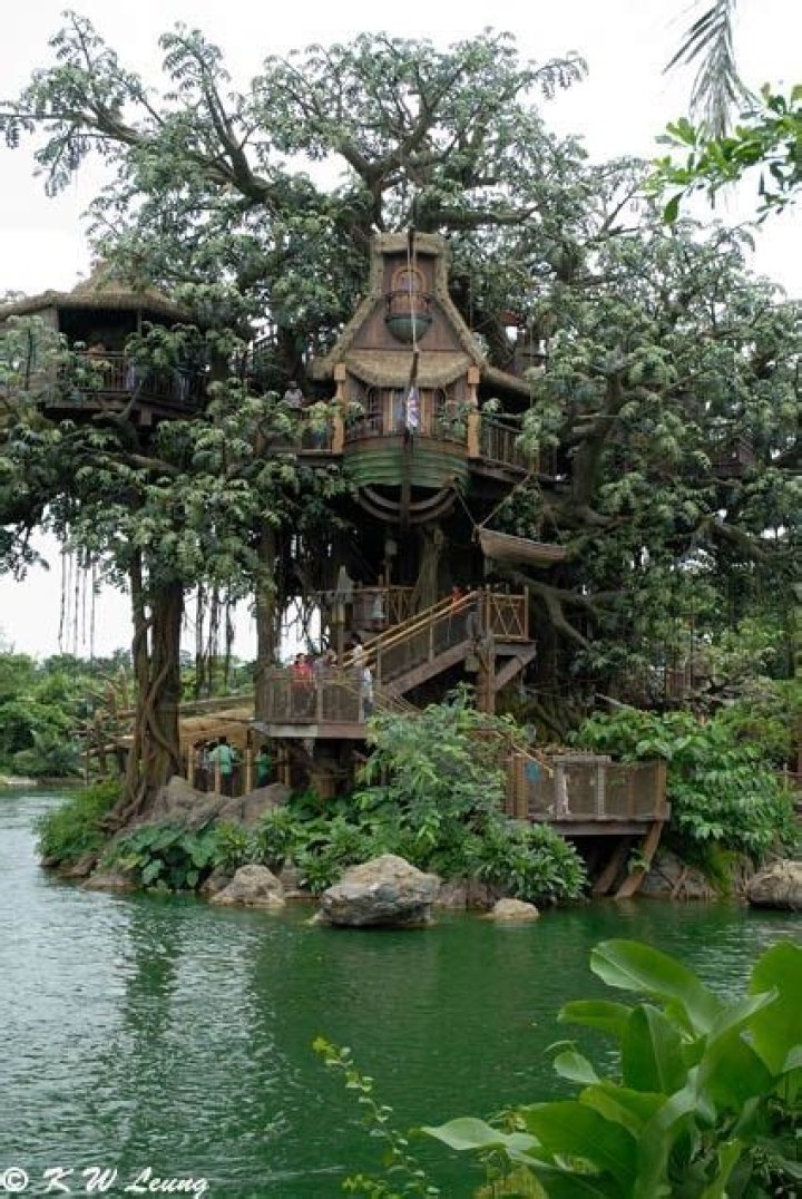 The Swiss Family Robinson Treehouse