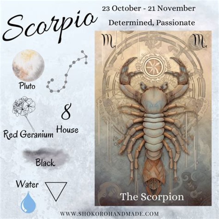 The Worst Zodiac Sign to Invite to Your Party, Astrologer Warns