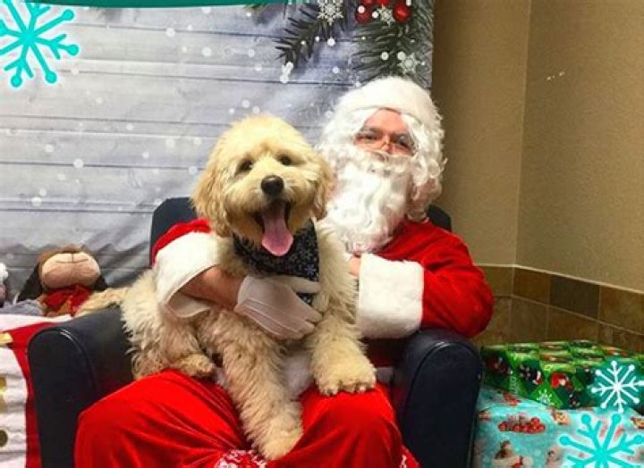 This Is Why Santa Gives Naughty Kids Coal For Christmas — Best Life