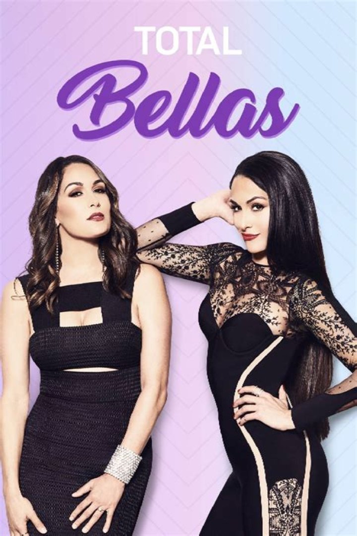 ‘Total Bellas’ Preview: Pregnant Nikki & Brie Bella Get Jealous Over Artem & Their Mom’s Golf Date