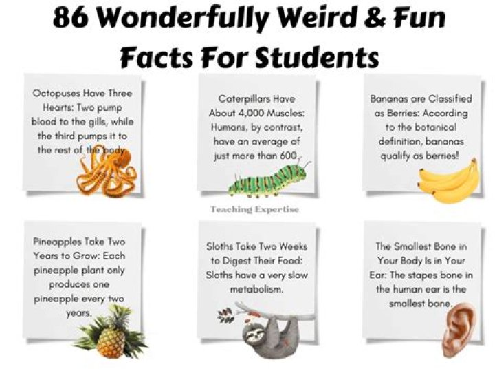 Weird Facts So Strange, You Won't Believe They're True