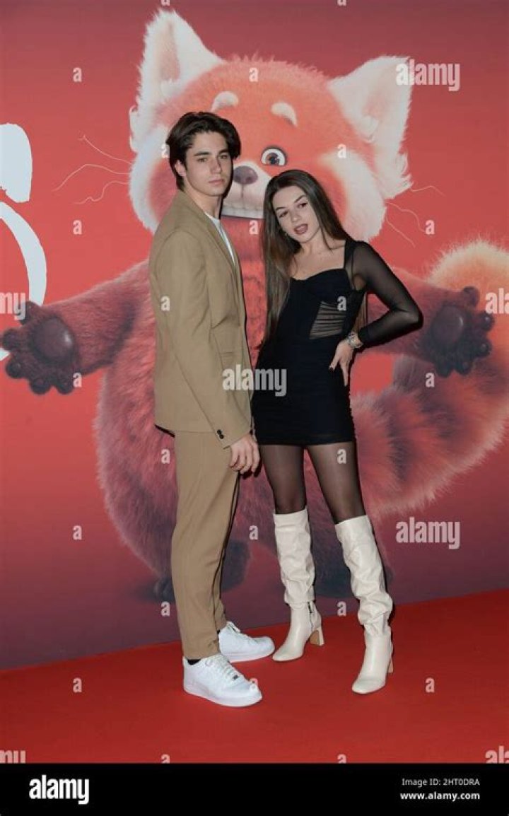 Who is Michelle Cavallaro Dating Now?