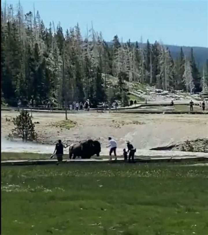 Yellowstone National Park Officials Issue New Alert on "Unpredictable" Threat